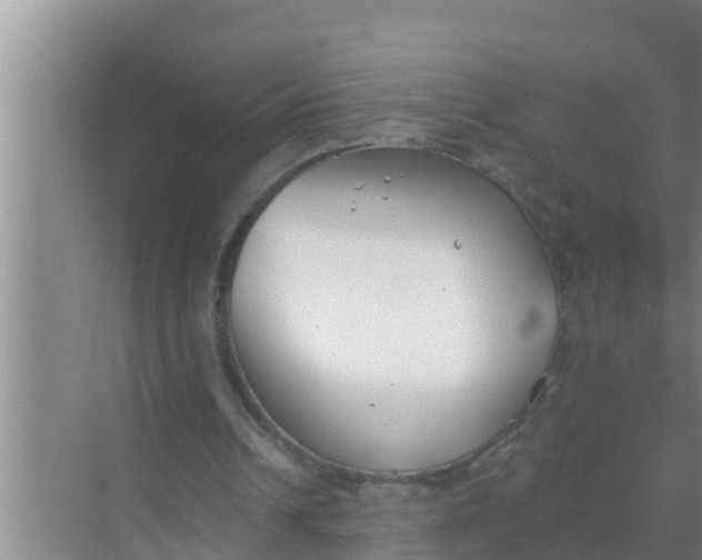 X0000069380242200605262058