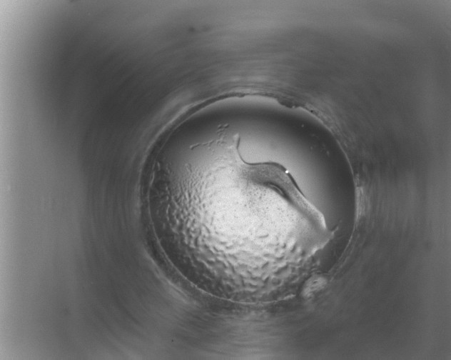 X0000069380243200605262058