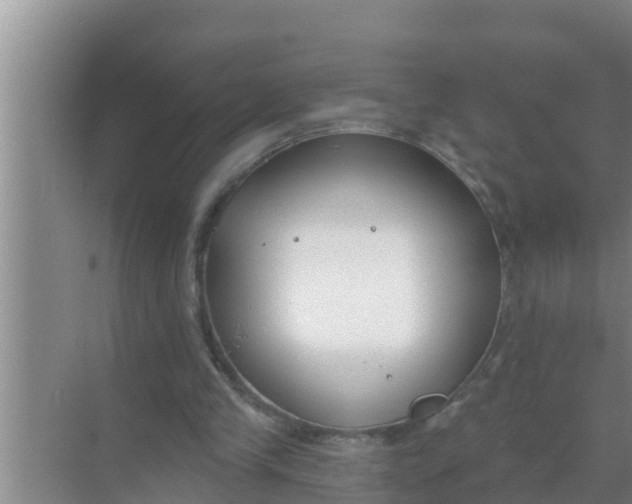 X0000069380245200605262058