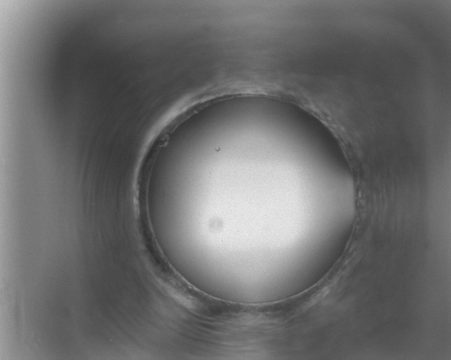 X0000069380246200605262058