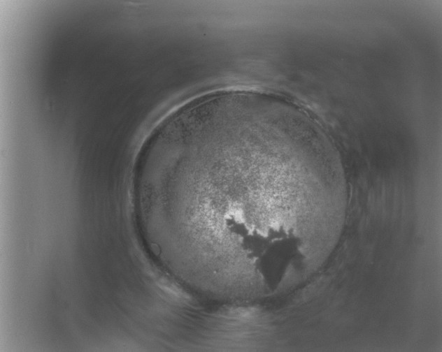 X0000069380247200605262058