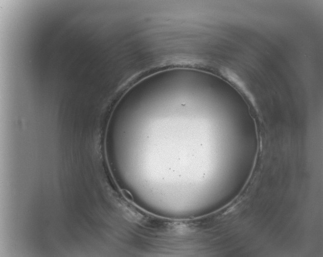 X0000069380249200605262058