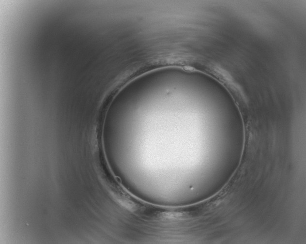 X0000069380250200605262058