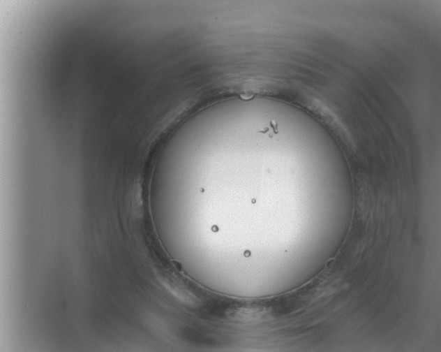 X0000069380251200605262058