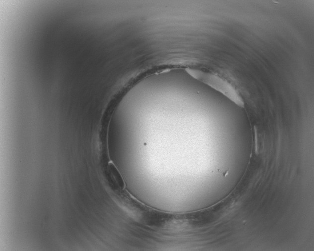 X0000069380252200605262058