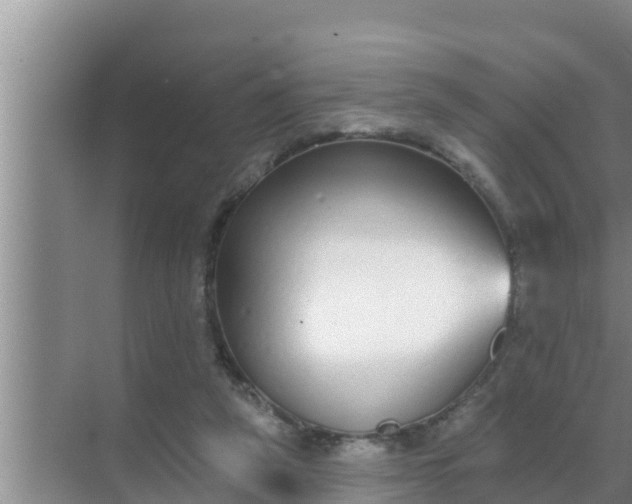 X0000069380257200605262058