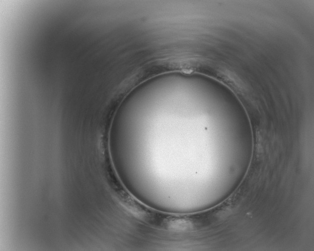 X0000069380258200605262058