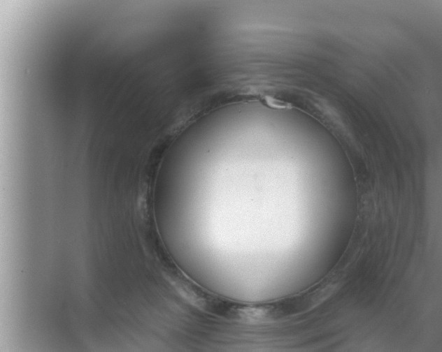 X0000069380265200605262058