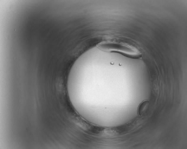 X0000069380270200605262058