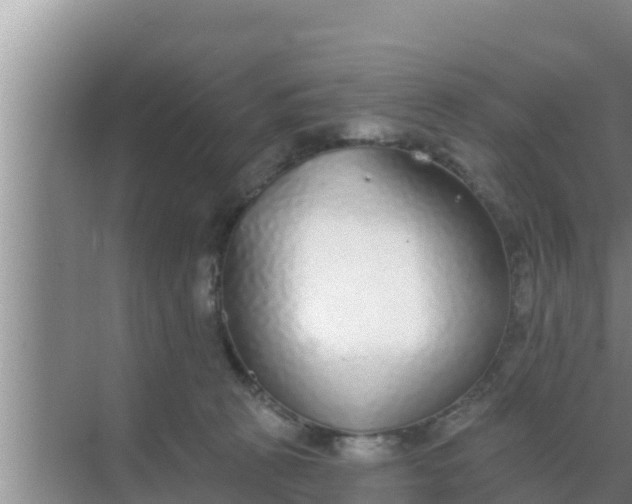 X0000069380273200605262058