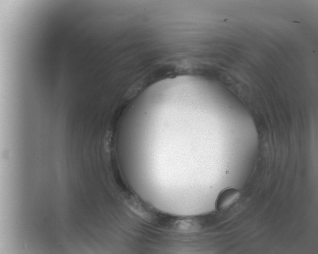 X0000069380275200605262058