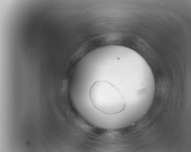 X0000069380278200605262058