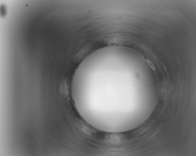 X0000069380282200605262058