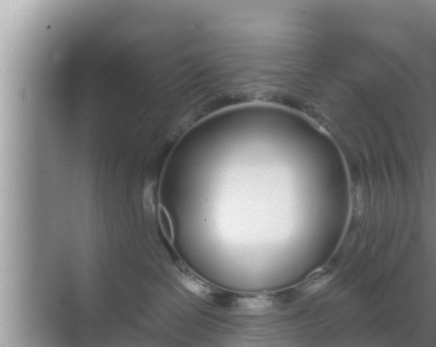 X0000069380286200605262058