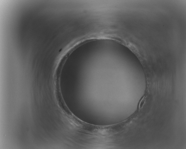 X0000069380295200605262057