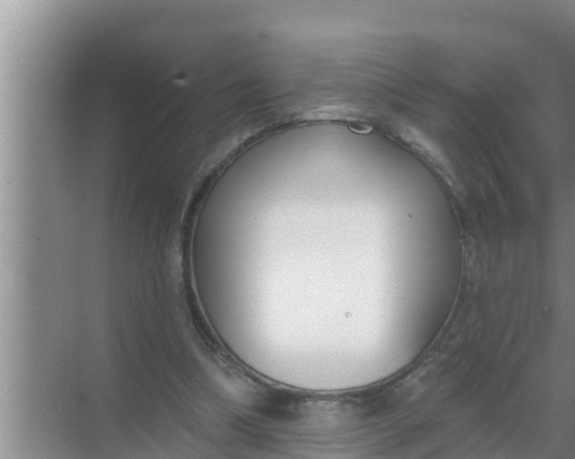 X0000069380298200605262057