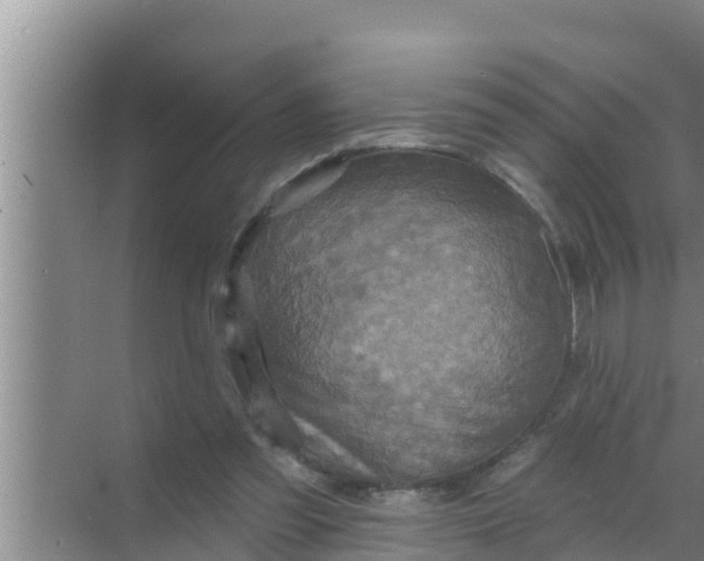 X0000069380301200605262057