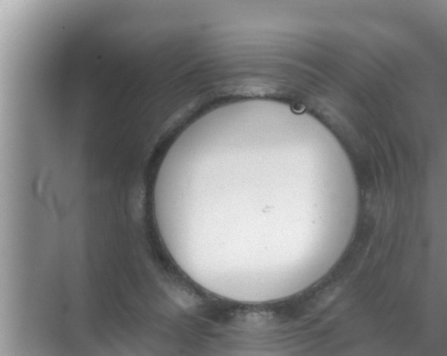 X0000069380304200605262057