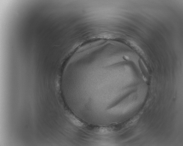 X0000069380305200605262057