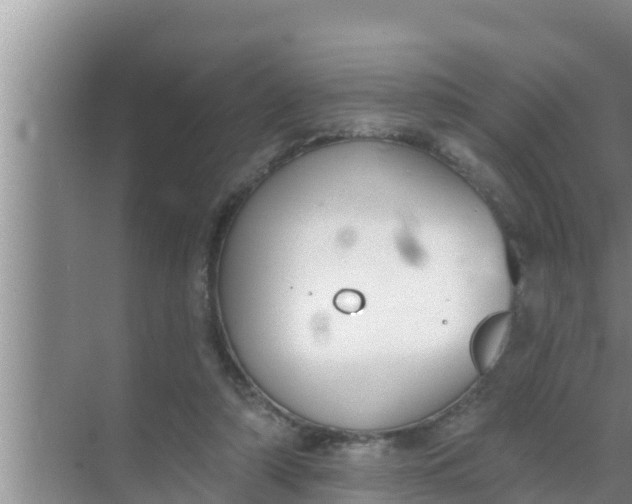 X0000069380306200605262057