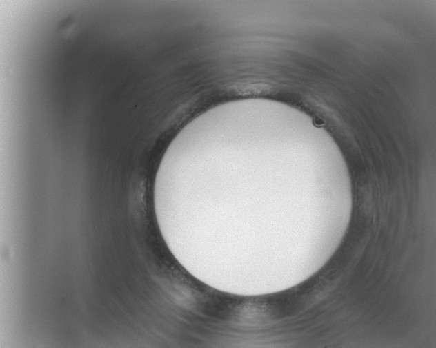 X0000069380308200605262057