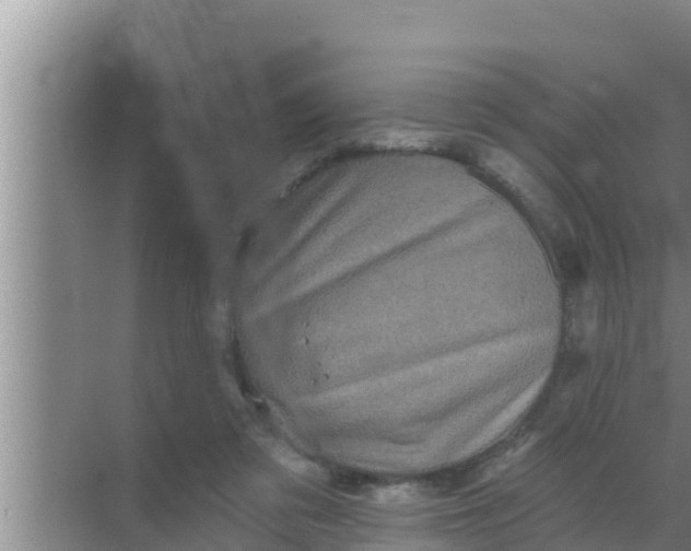 X0000069380309200605262057