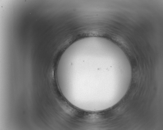 X0000069380310200605262057