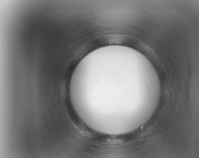 X0000069380311200605262057