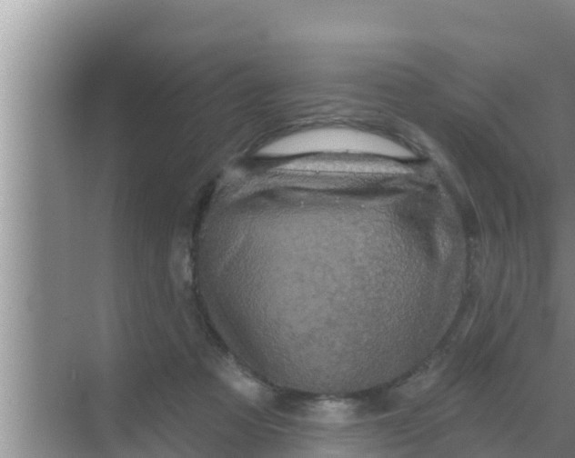 X0000069380313200605262057