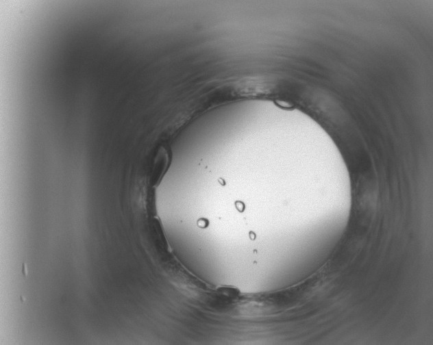 X0000069380315200605262057