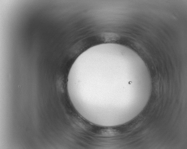 X0000069380316200605262057