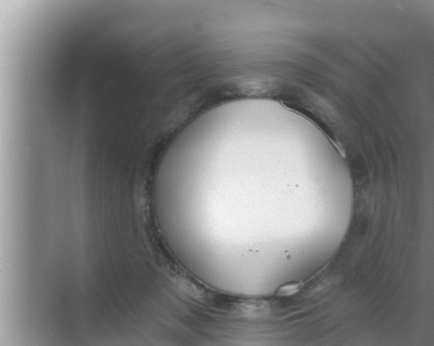 X0000069380317200605262057