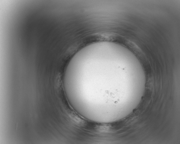 X0000069380318200605262057