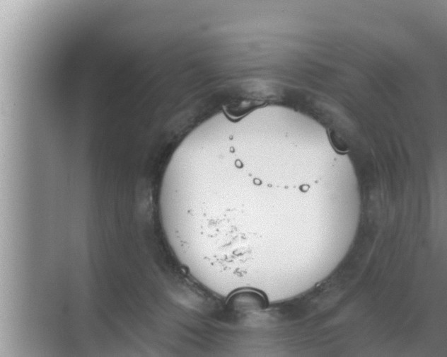 X0000069380320200605262057