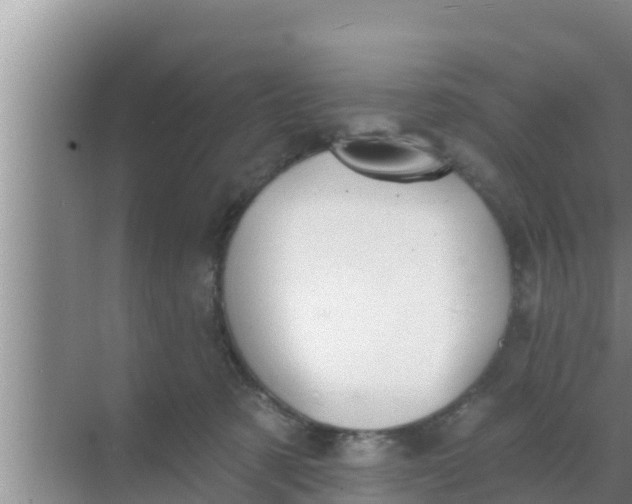 X0000069380321200605262057