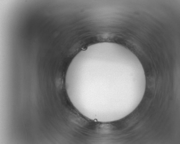 X0000069380324200605262057