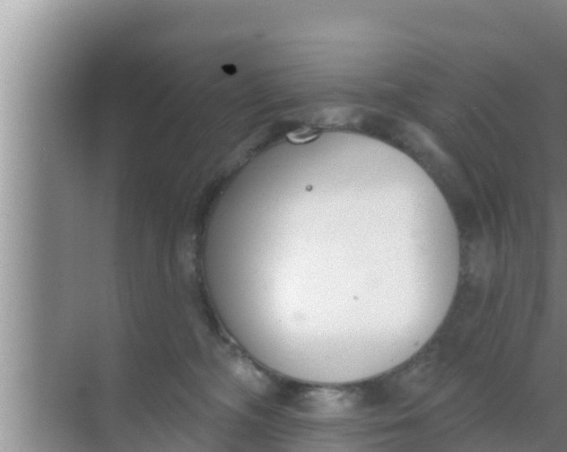 X0000069380326200605262057