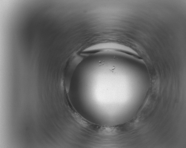 X0000069380329200605262057