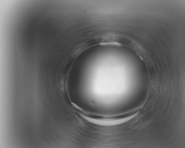 X0000069380333200605262057