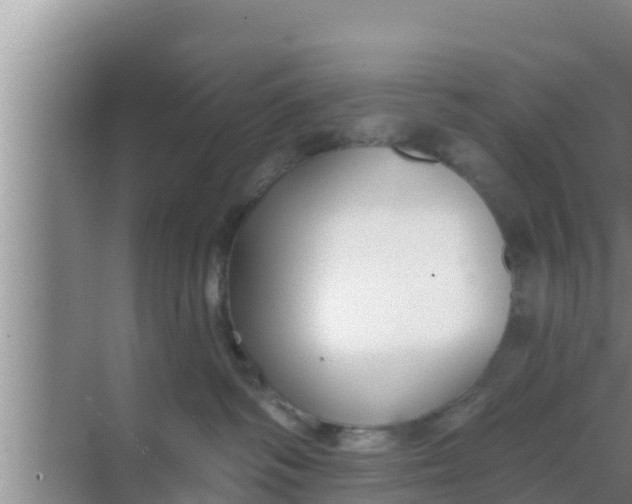 X0000069380334200605262057