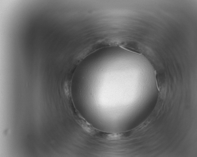 X0000069380335200605262057