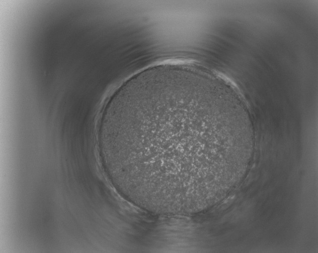 X0000069380337200605262056