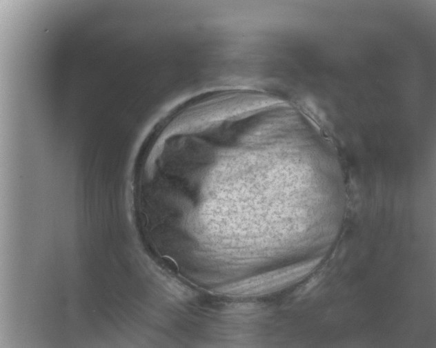 X0000069380342200605262056