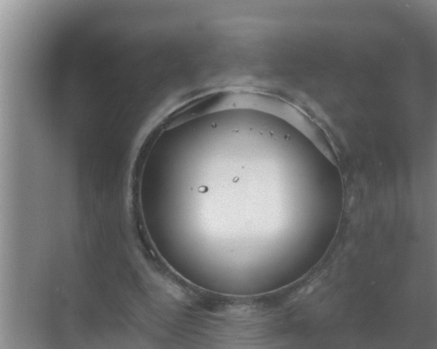 X0000069380344200605262056