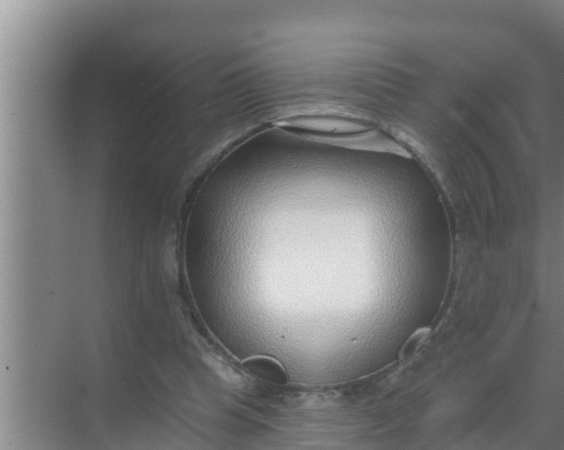 X0000069380345200605262056