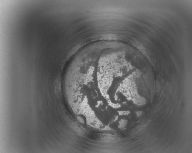 X0000069380347200605262056