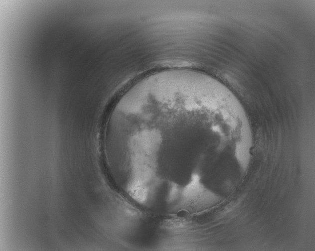 X0000069380351200605262056