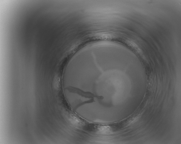 X0000069380355200605262056