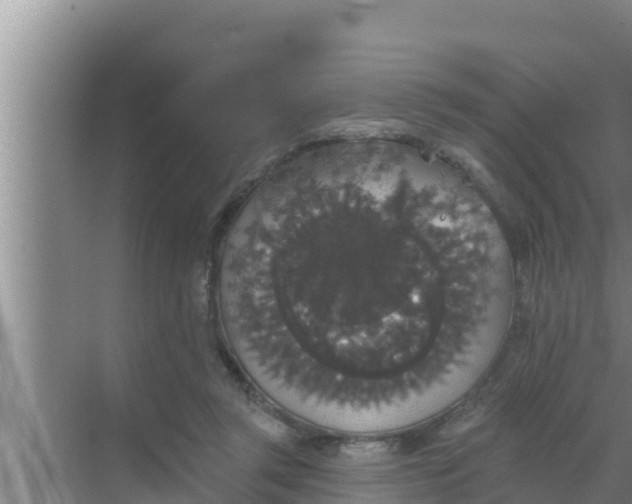 X0000069380357200605262056