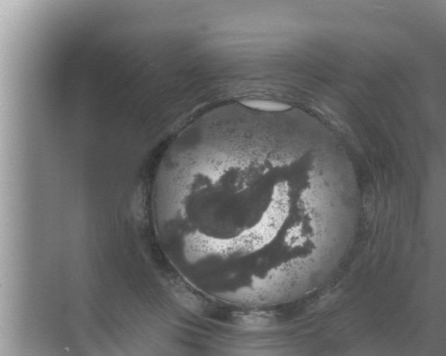 X0000069380359200605262056